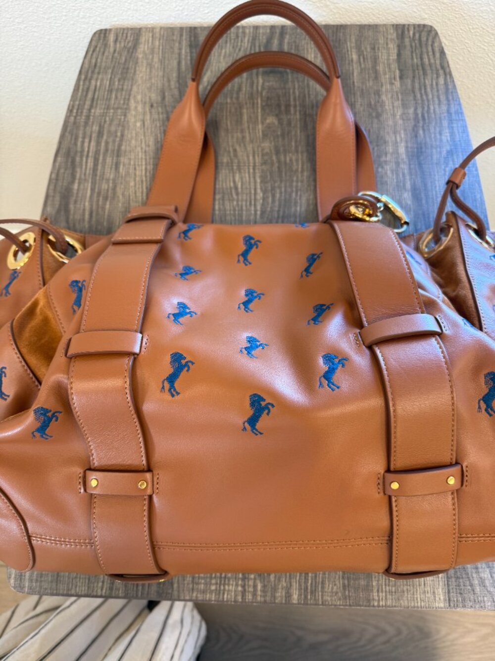 Chloe Tao Tote Bag - Picture 4 of 10
